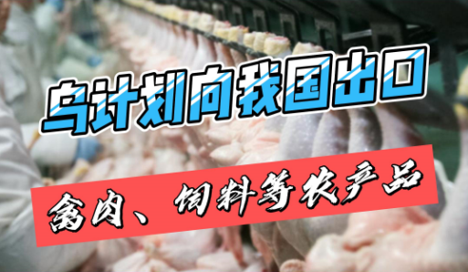 乌克兰计划向我国出口禽肉、饲料等农产品！