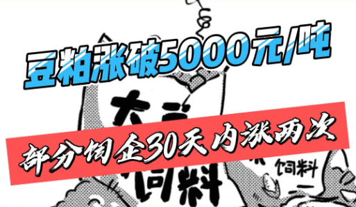 豆粕涨破5000元/吨！部分饲企30天内涨价两次！