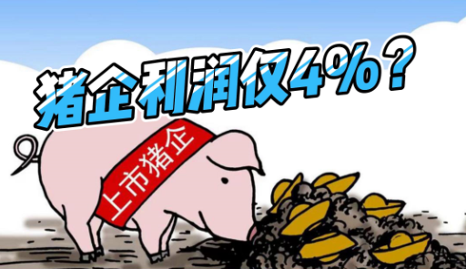猪企利润率仅4%？养猪业目前处于低利润期！