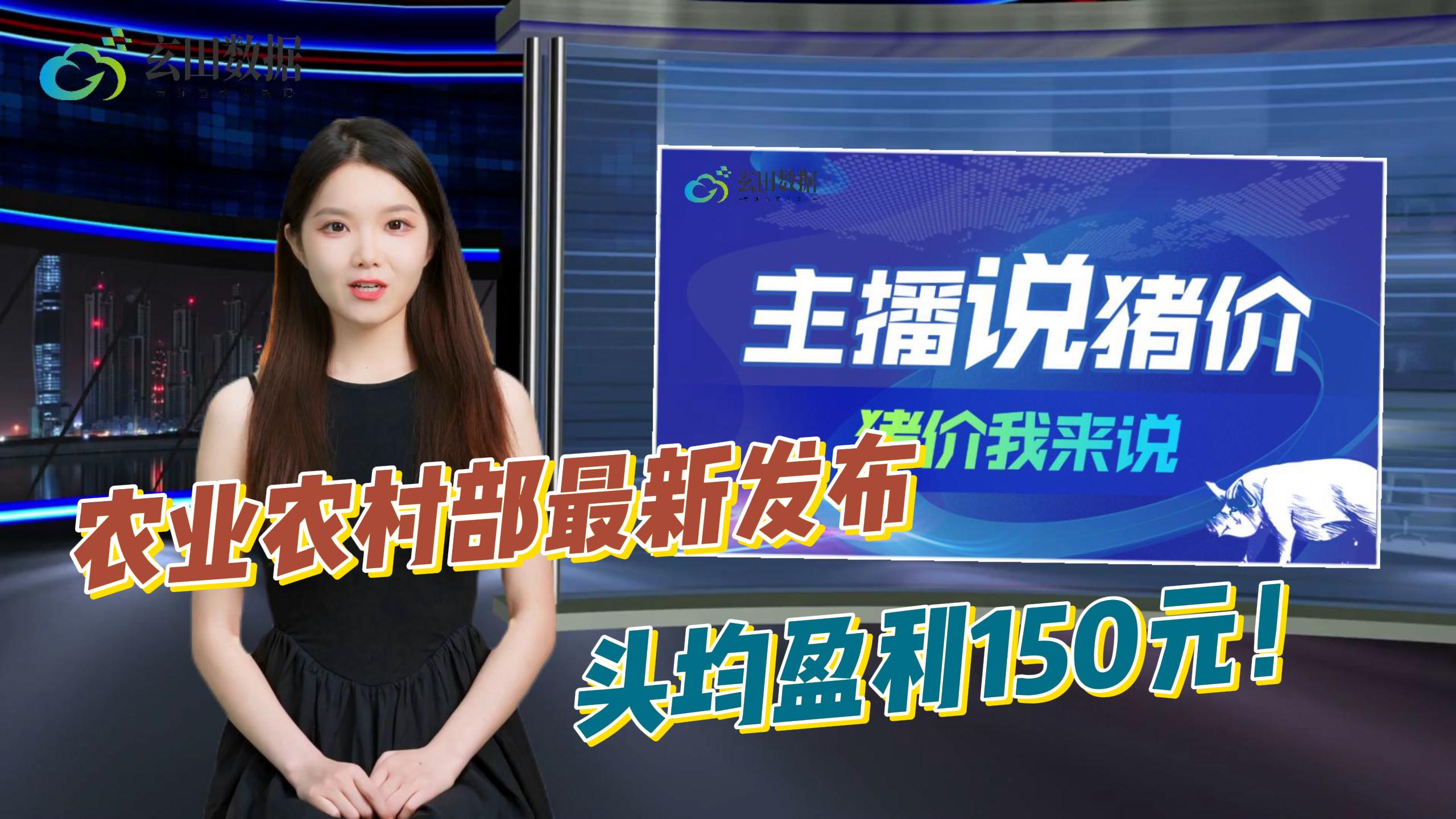 猪价涨跌拉锯，农业农村部最新发布！头均盈利150元！