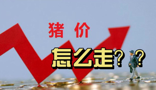 未来一周生猪行情或微涨，猪价或在17元/公斤左右！