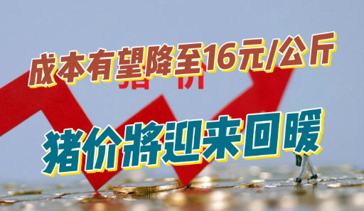 新希望：年底成本有望降至16元/公斤，双节来临猪价或将迎来回暖！