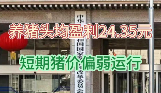 发改委：生猪养殖头均盈利为24.35元，预计短期猪价偏弱运行！