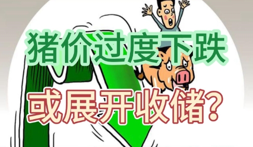 猪粮比触发过度下跌二级预警！或将展开收储？