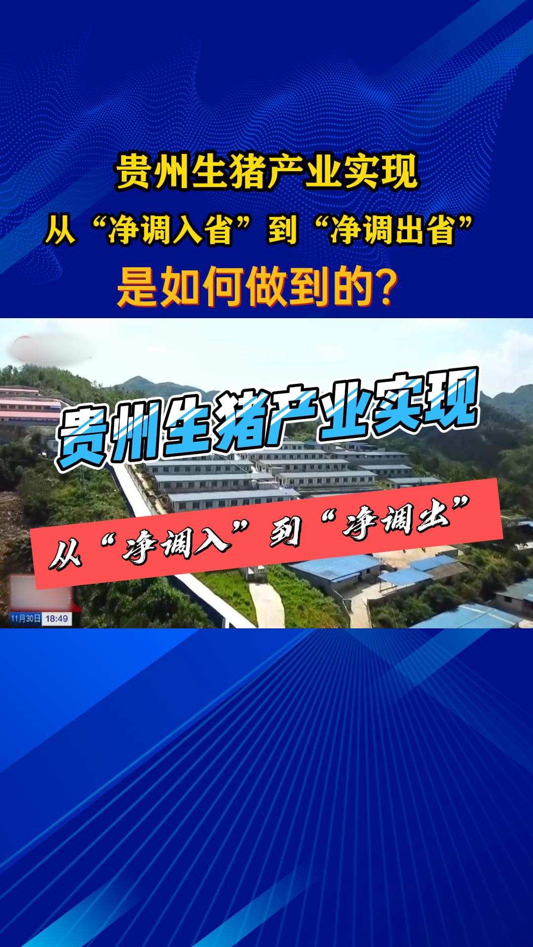 贵州生猪产业实现从“净调入省”到“净调出省”是如何做到的？