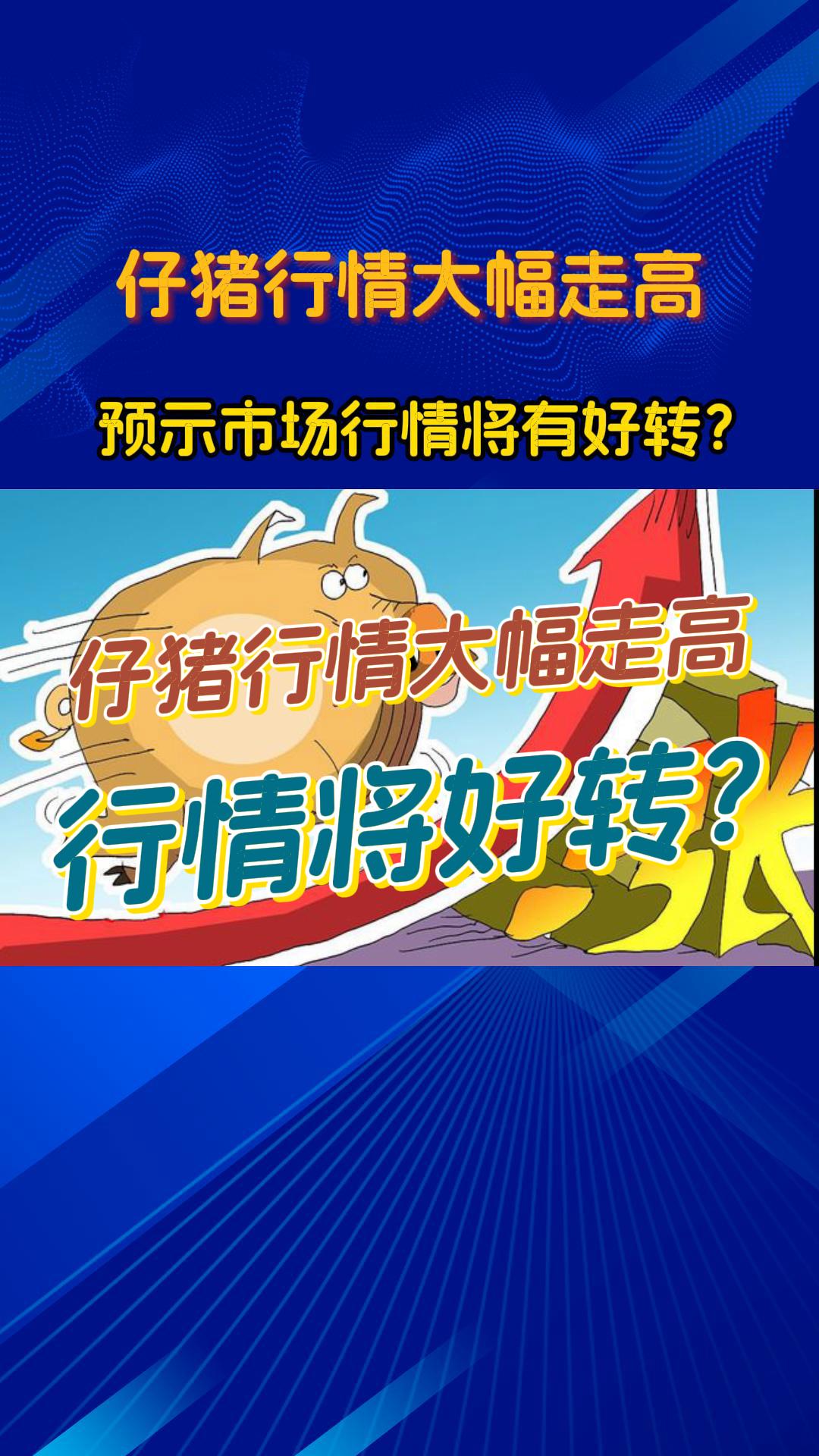 仔猪行情大幅走高，预示市场行情将有好转？