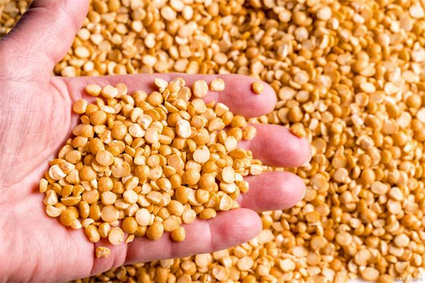 ANEC将6月份巴西大豆出口预估值调低至1450万吨，豆粕调低至223万吨