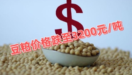 豆粕价格跌至3200元/吨，菜粕跟跌近100元/吨！