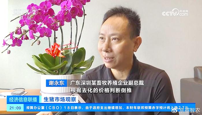 央视采访 | 副总裁谢永东：猪企以市场去化判断 维持稳定生产