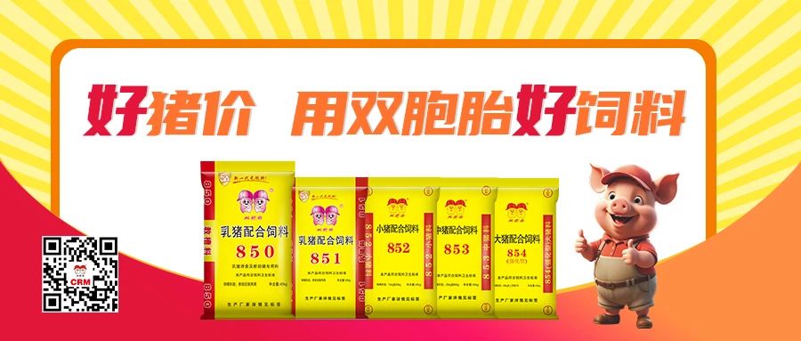 爆了！猪价涨幅达 37.8%，用好饲料才是盈利的关键！