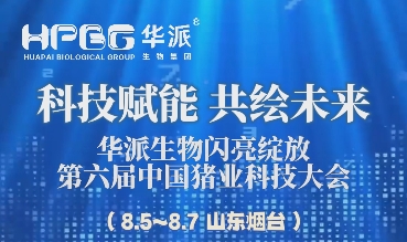 华派集团董事长谢建勇率队参加第六届中国猪业科技大会暨2024国际猪繁殖与呼吸综合征学术会议！