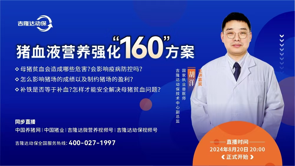 母猪血液营养强化“160”方案