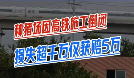 种猪场因高铁施工被迫倒闭！猪场老板称损失超千万元补偿仅5万！