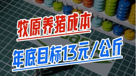 牧原股份：年底有信心达成13元/公斤成本！