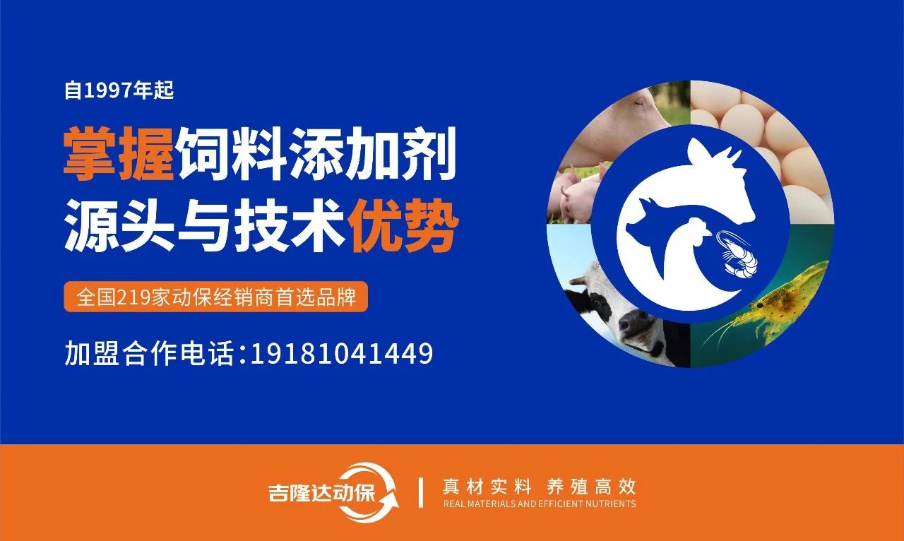 第四代硒源在猪上的应用价值 | 吉隆达动保