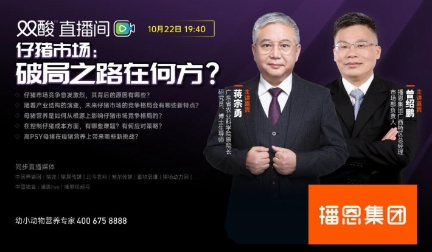 仔猪行情一度暴跌！破局之路在何方？可以采取哪些有效措施？