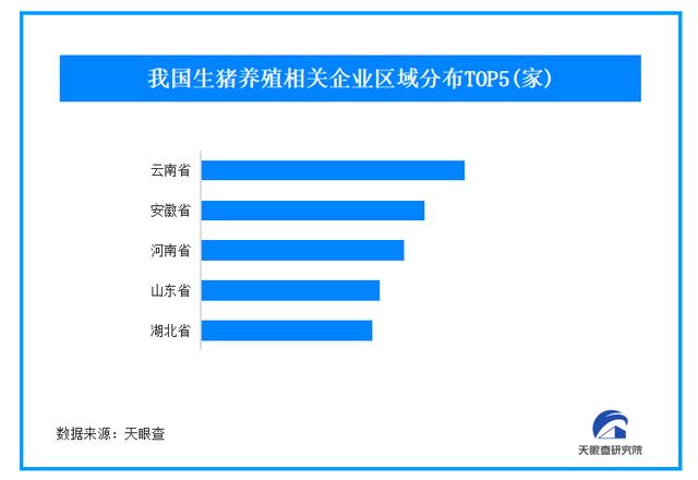 中国养猪网