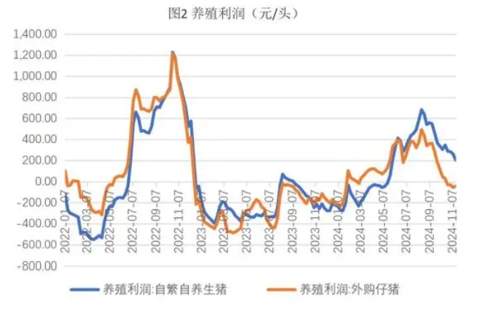 生猪价格缺乏利好支撑 玉米供应端持续施压价格