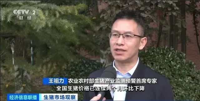 王祖力：年末全国猪价可能温和回升，生猪养殖将保持盈利