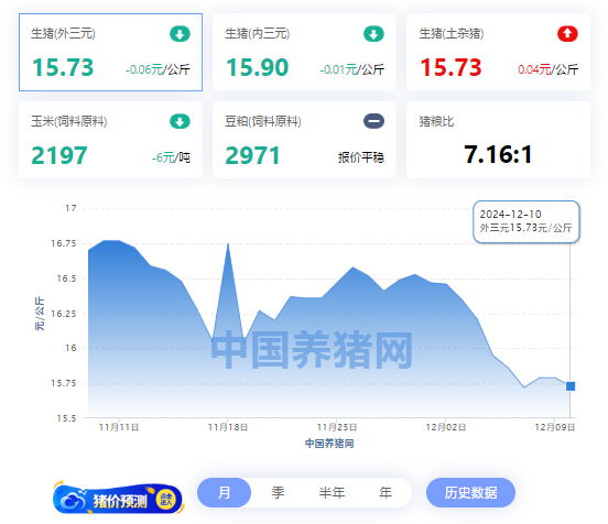 12月10日猪价：15.73元/公斤！市场何时迎来“春风”？