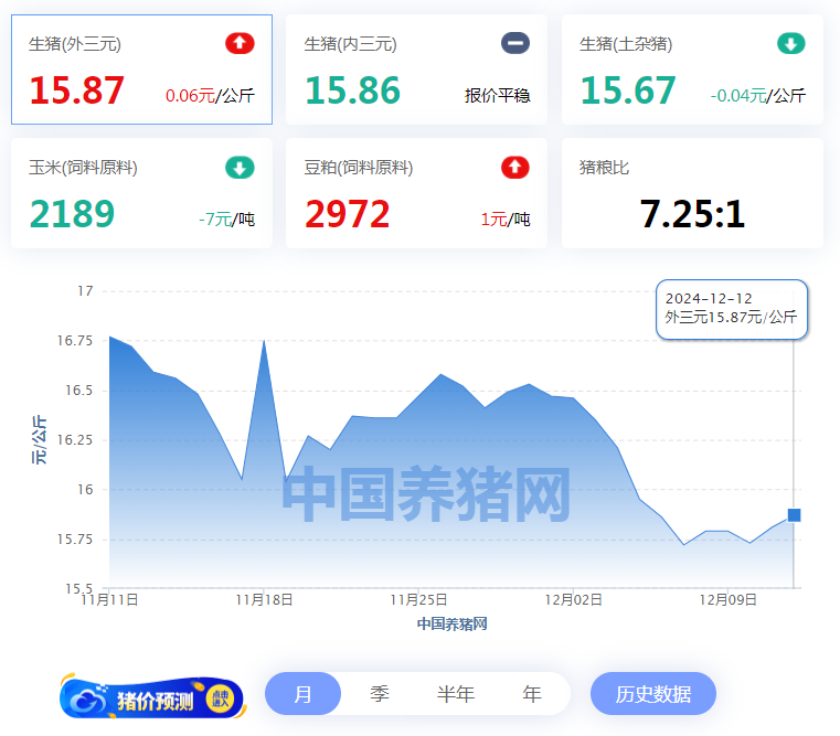 12月12日猪价：15.87元/公斤！26地猪价飘红！