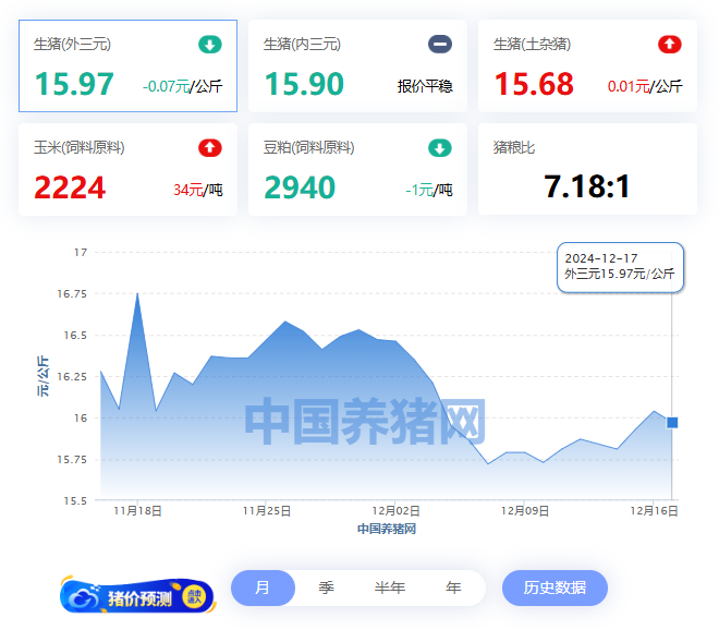 12月17日猪价：15.97元/公斤！涨势后继无力？