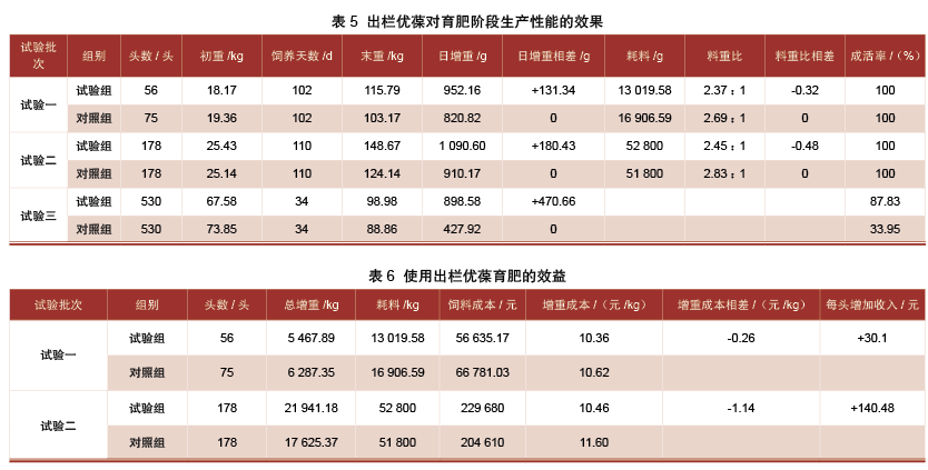 中医智慧引领养猪生产新风尚：中医理论的应用探索