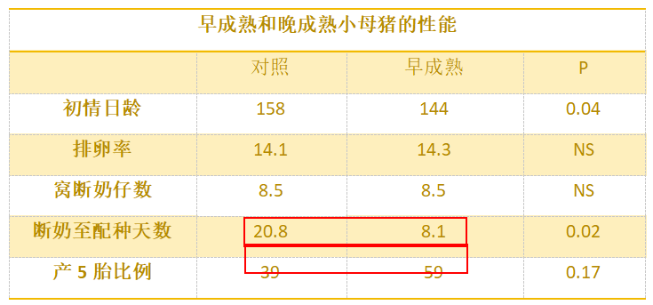 为什么要促进后备母猪早发情？你的猪场重视了吗？