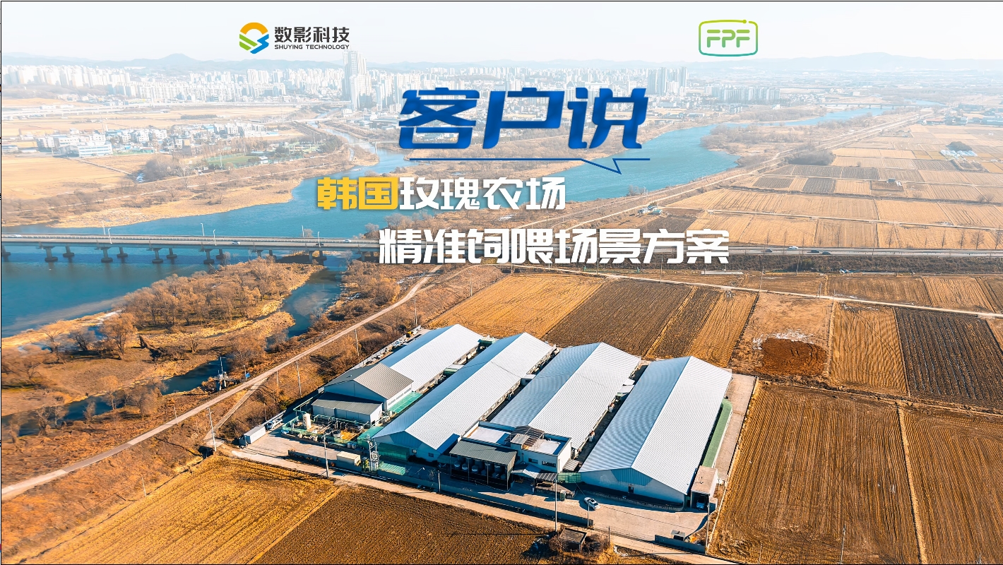 数影科技精准饲喂场景方案赋能韩国农场实现降本增效！