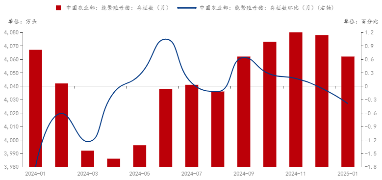 能繁母猪存栏量微降，2025年生猪市场走势如何？