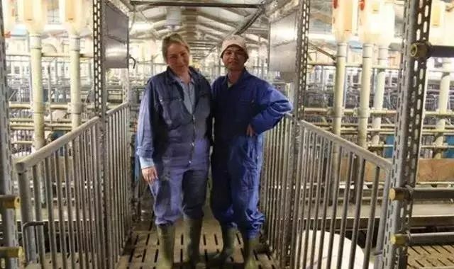 德国凭什么成为比我国还厉害的养猪强国？这三点你不得不服！
