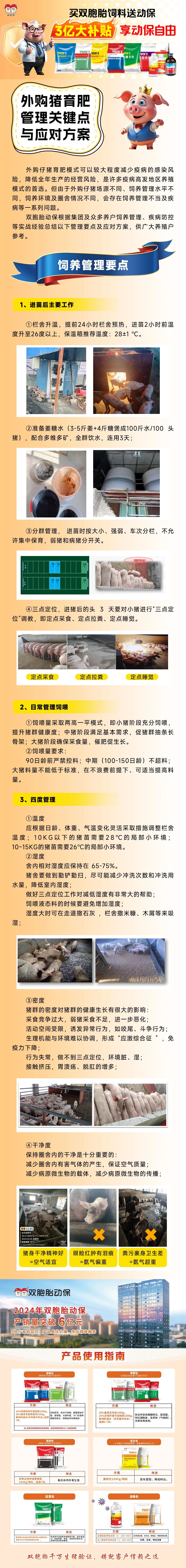 【双胞胎动保】外购猪育肥管理关键点与应对方案