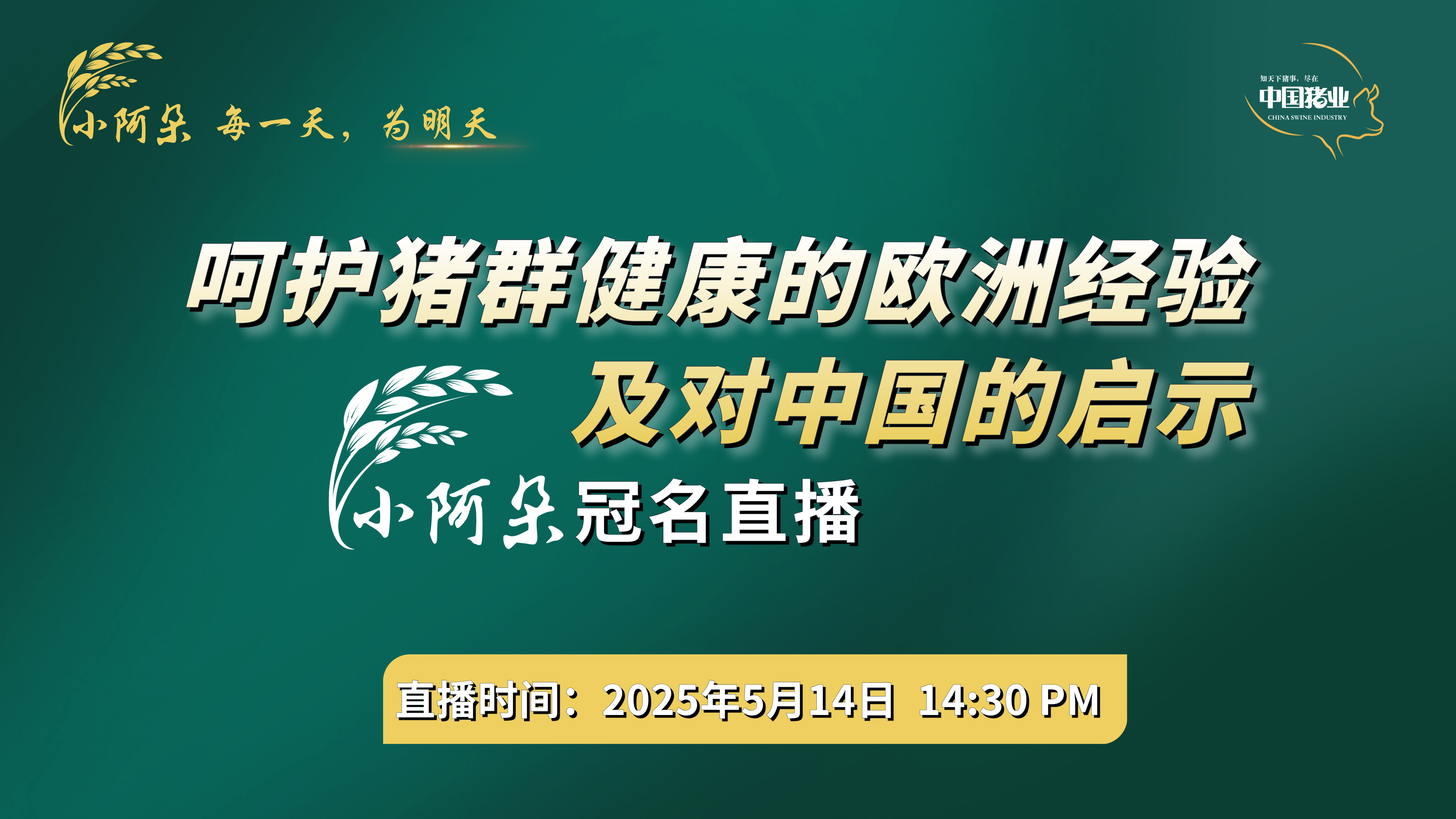 养猪网LIVE