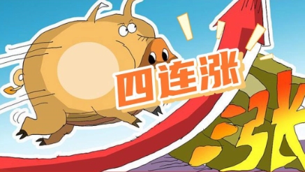 05月28日猪价：四连涨！