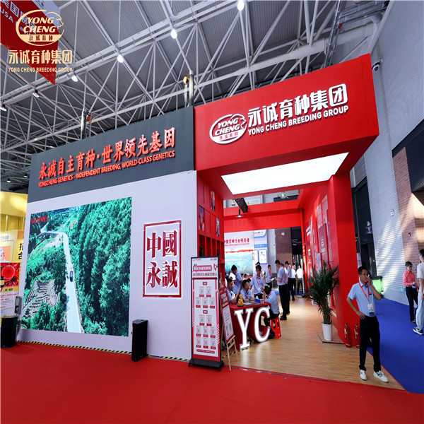 解码种猪价值，挖掘生长潜力——永诚技术体系如何赋能猪场高效转型？