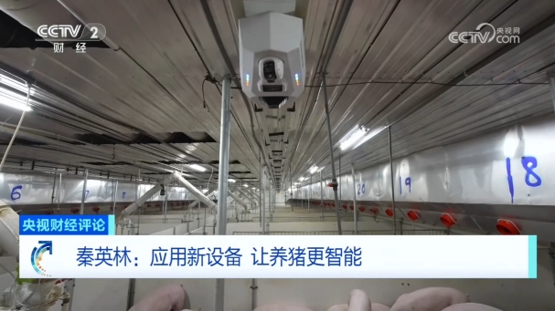 牧原董事长秦英林：应用新设备，让养猪更智能！