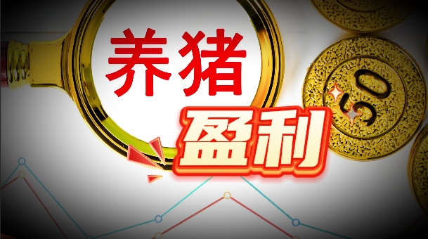 养猪成本降 猪价稳！养猪已连续12个月保持盈利！