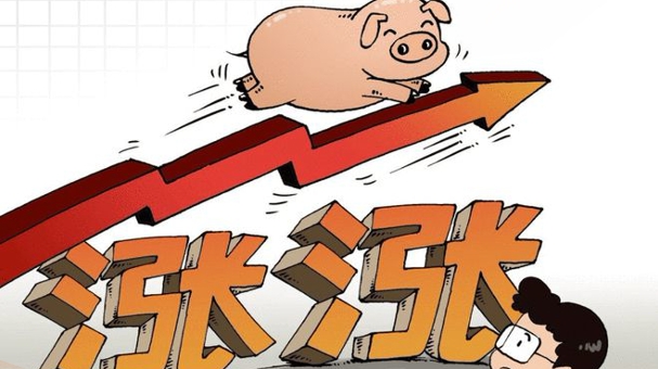 06月10日猪价：局部发弹，短期绝地反击？