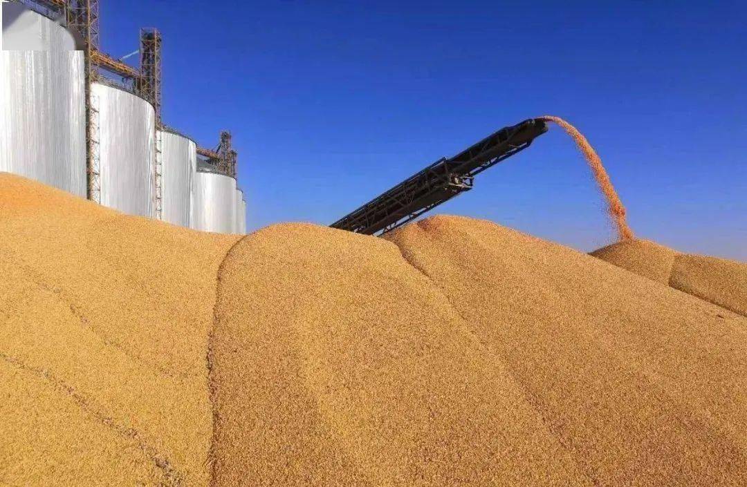CBOT豆粕基准期约收低0.1%，因豆粕需求依然偏弱