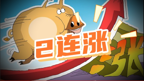 06月11日猪价：2连涨！将一路上扬？