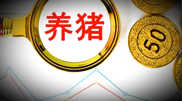 06月24日猪价：逆势上行！