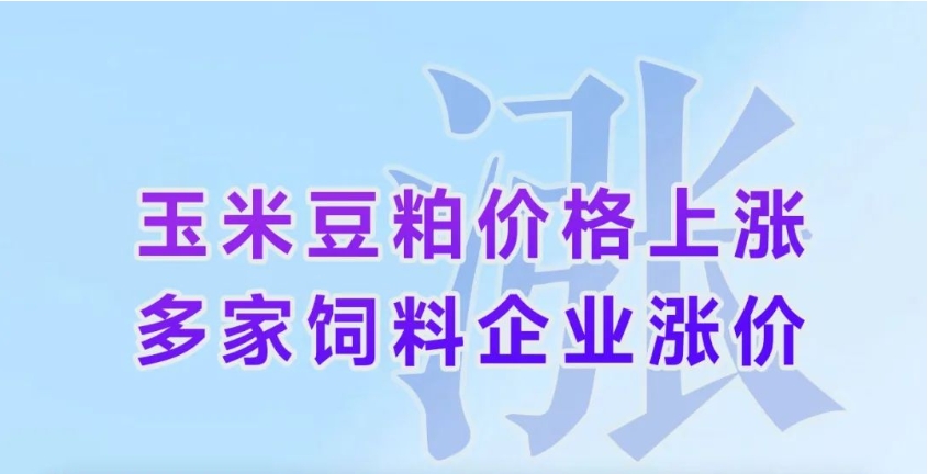玉米豆粕价格上涨，多家饲料企业涨价
