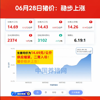 06月28日猪价：稳步上涨！