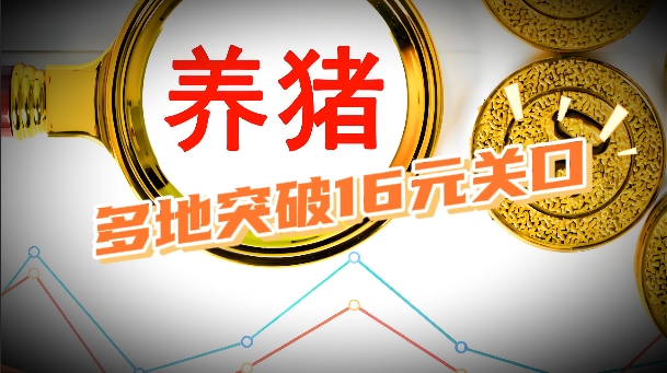 7月3日猪价：15.30元/公斤！多地突破16元关口！