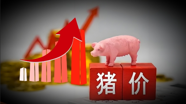 07月04日猪价：供应趋紧推涨猪价！