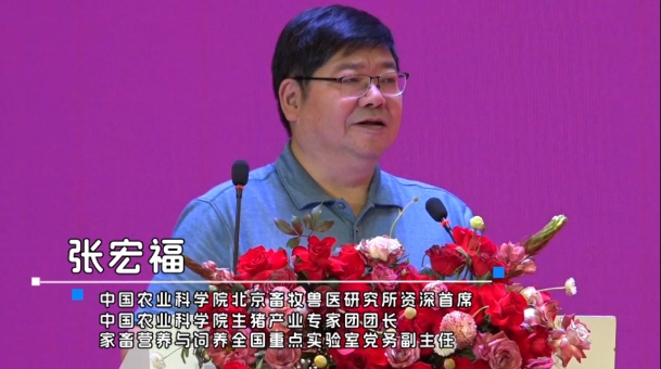 张宏福研究员：健康养殖五大方面！猪群健康是命门！