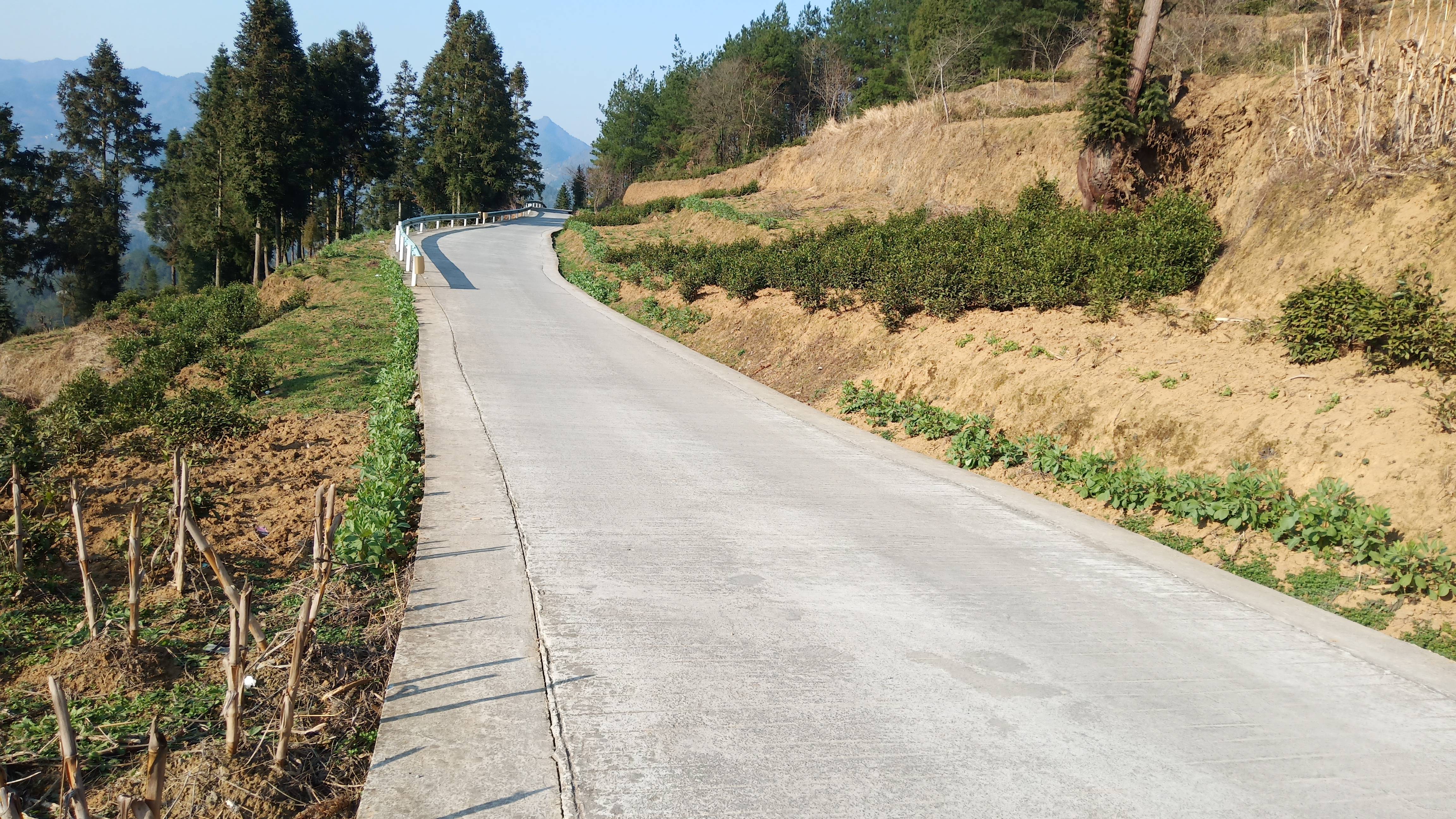 农村“三资”“糊涂账”如何变“明白账”