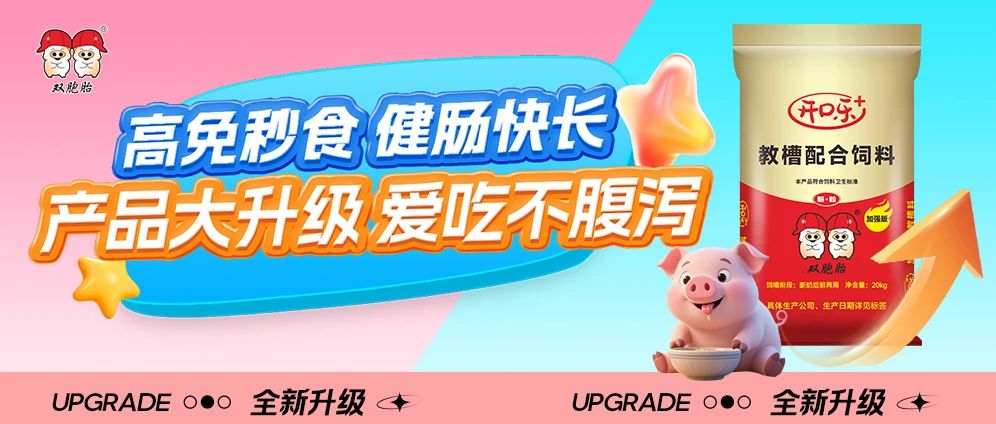 全新升级！开口乐+教槽料，让仔猪高效生长！