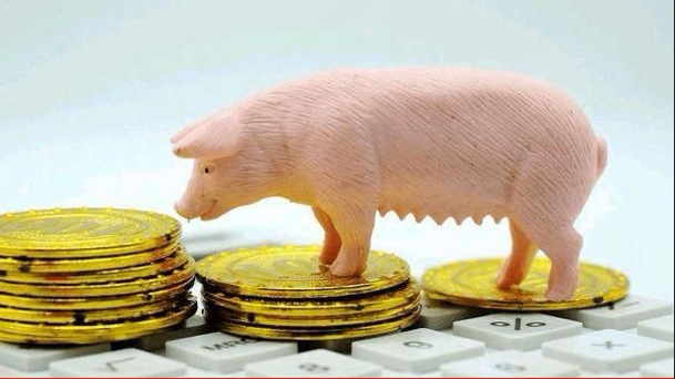 关注生猪价格走向：“反内卷”背景下 猪价怎么走？