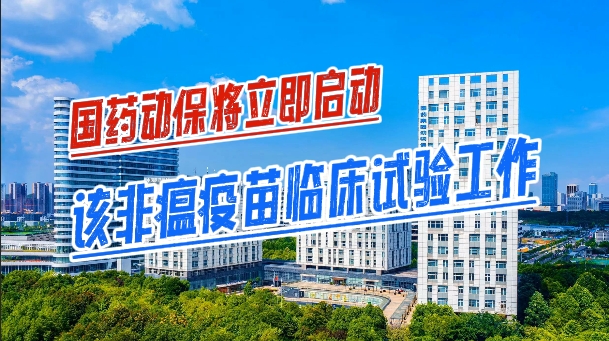 养猪业“头号杀手”有克星了！国药动保非瘟疫苗率先获批临床！